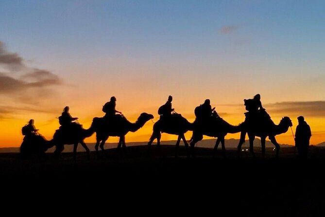 1 Night Camel Trekking in Merzouga - Rights and Terms & Conditions