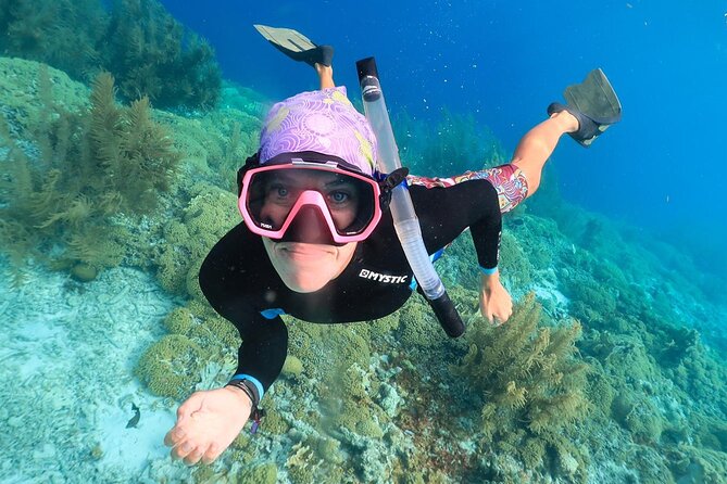 100% Private Snorkel & Sail Charter on Bonaire by Solobon Sailing - Overview of the Snorkeling Adventure