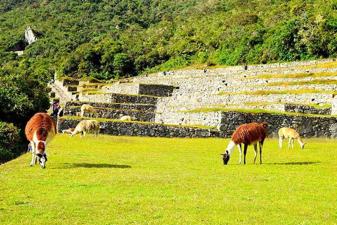 2-Day Private Tour of the Inca Trail to Machu Picchu - Common Questions