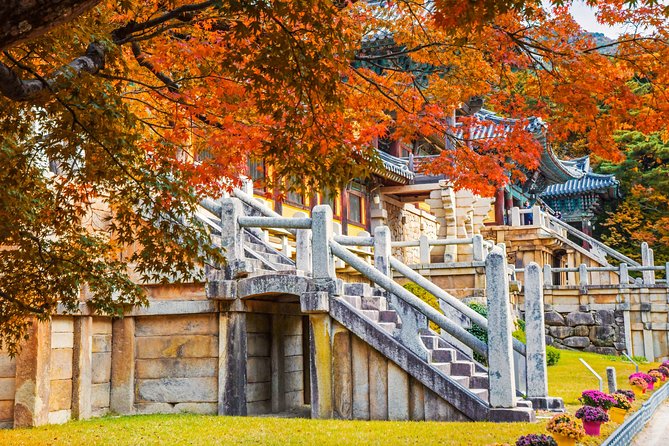 2-Day Rail Tour to Gyeongju and Busan From Seoul - Private Guide and UNESCO World Heritage Sites