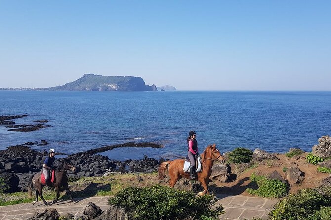 2-Day Tour to Jeju Island by Limousine Taxi - Copyright Information