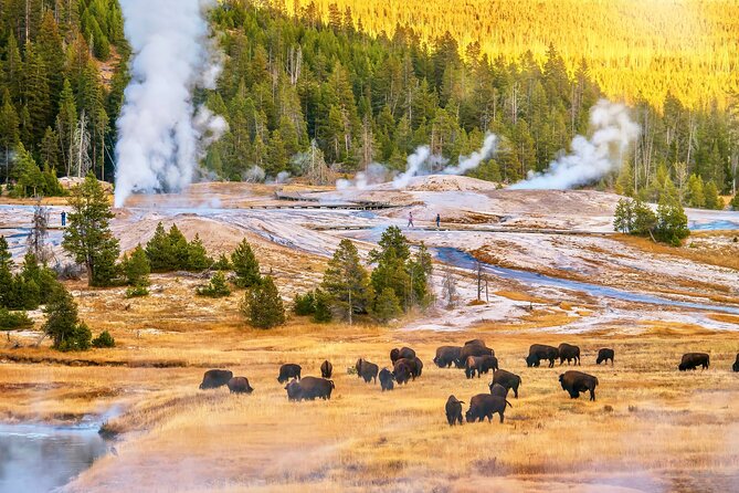 2 Days Yellowstone Private Touring With Alfresco Lunch  - Jackson - Day 1: Grand Teton Park, Geysers, Lamar, Cooke City