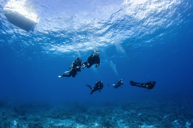 2 Dives in the Morning for Certified Divers in Bora Bora - Meeting Point and Logistics