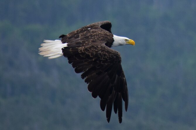 2-Hour Guided Boat Tour From St. Johns - Minimum Number of Travelers