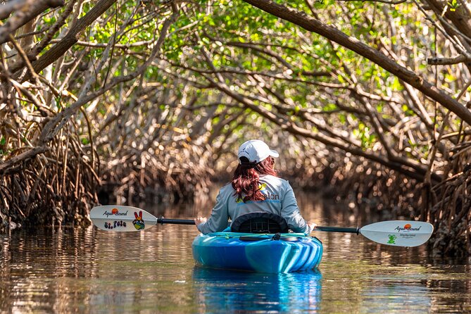 2 Hour Guided Kayak Tour in Boca Ciega Bay - St. Pete - Overview and Booking Information