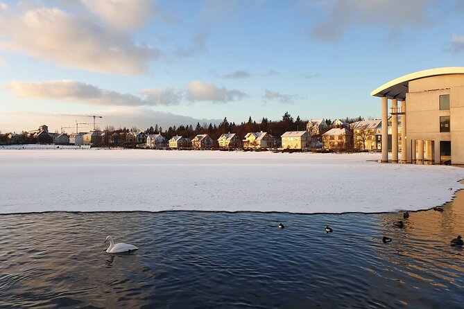2-Hour Reykjavik Private Walking Tour - The Sum Up