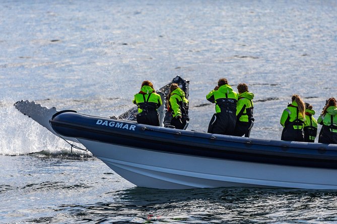 2-Hour RIB Boat Whale Watching Tour From Reykjavik - Common Questions