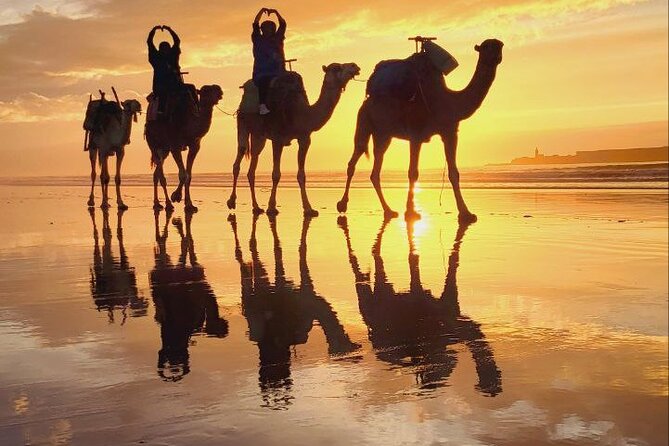 2-Hour Walks to Discover Essaouira - Common Questions