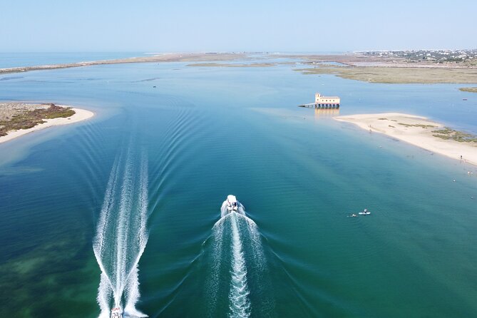 2 Hours Boat Tour in Ria Formosa - Reviews and Traveler Feedback
