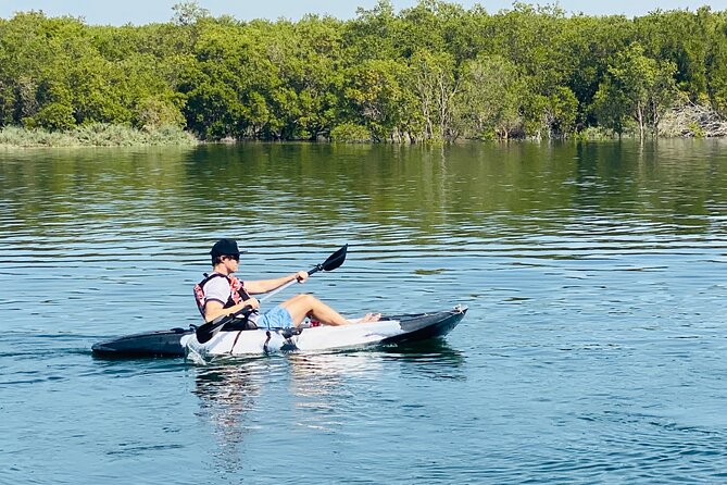 2 Hours Guided Mangrove Kayaking in Abu Dhabi - The Sum Up