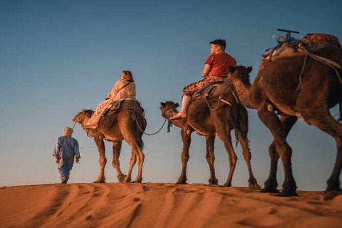 2 Nights in Luxury Camp & Camel Trekking in Merzouga Desert - Terms and Conditions for Booking