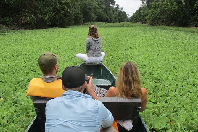 3-Days Wildlife Tour to the Tamshiyacu-Tahuayo Reserve at Curassow Amazon Lodge - Reviews