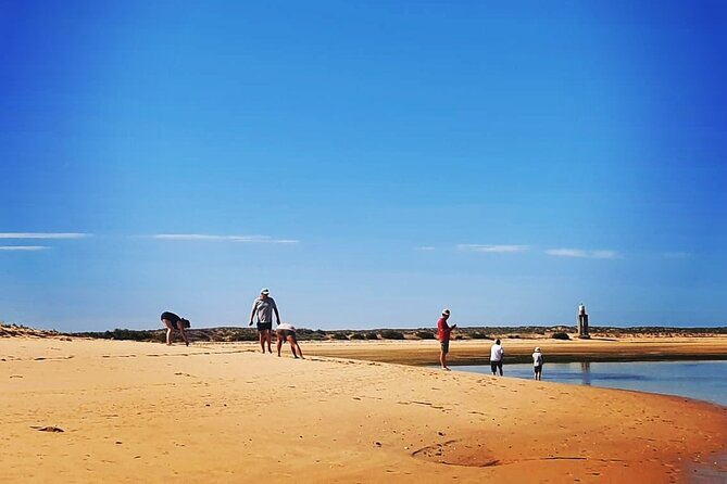 3 Hour Boat Tour in Ria Formosa - The Sum Up