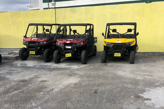3-Hour Buggy Tour of New Providence (Inclusive of Water & Local Deserts) - Weather Considerations and Alternatives