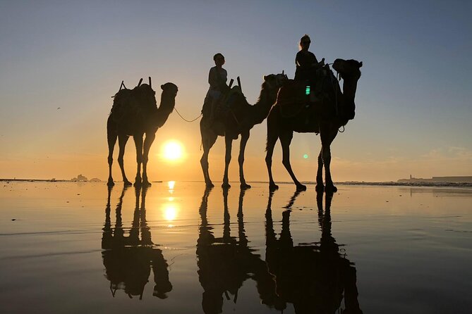 3-Hour Camel Ride at Sunset - Common Questions