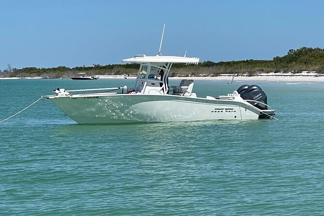 3 Hour Snorkeling, Shelling in St. Petersburg, FL, (Private Boat) - Common Questions