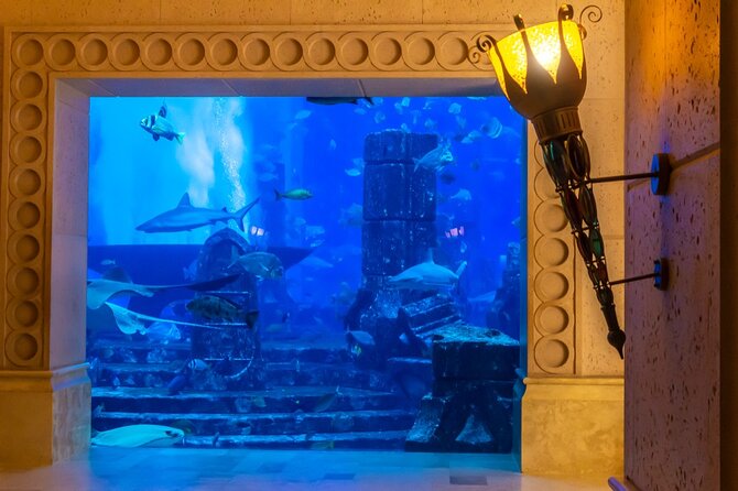 3-Hour the Lost Chambers Aquarium Tickets With Pick and Drop off - Copyright and Terms of Use