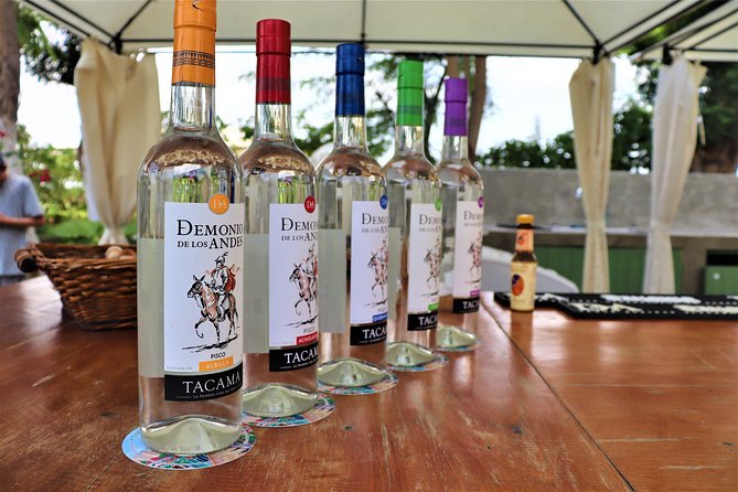3-Hour Wine and Pisco Tour / Tacama and El Catador - Cancellation Policy