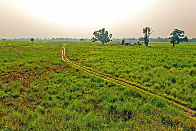 3 Nights 4 Days Chitwan National Park With Tower Night Stay - Common Questions