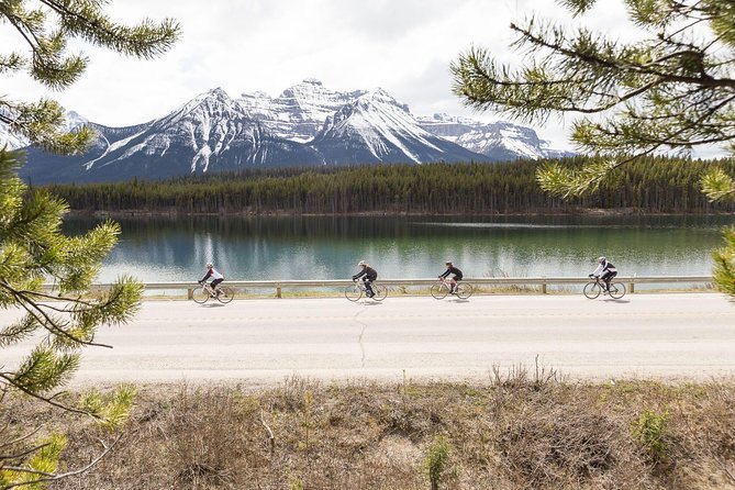 4-Day Bicycle Tour Through Canadian Rockies - Traveler Photos and Reviews