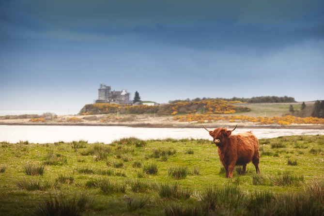 4-Day Magical Mull, Iona & West Highlands Small-Group Tour From Edinburgh - Optional Activities and Reservations