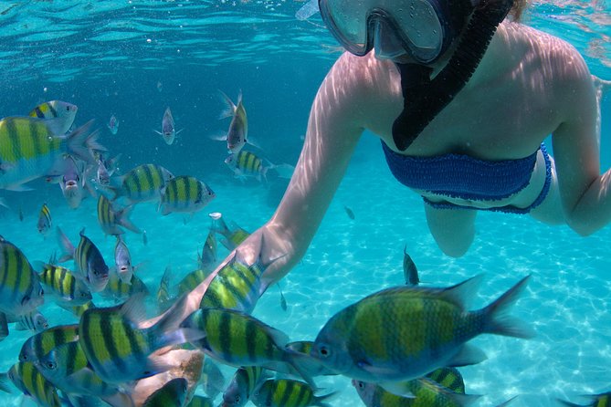 4-Hour Catamaran Sail and Snorkel Tour From Grace Bay - Positive Feedback on Catamaran Snorkel Trip