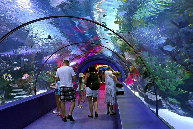 4-Hour Guided Antalya Aquarium Tour - Reviews and Contact Information