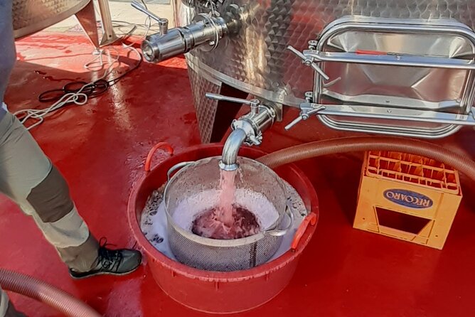 4-Hour Guided E-bike Tour of the Two Wineries in Bardolino - Return to Bardolino