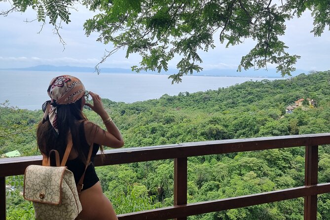 4-Hour Jungle Hike and Waterfall Swim - Directions