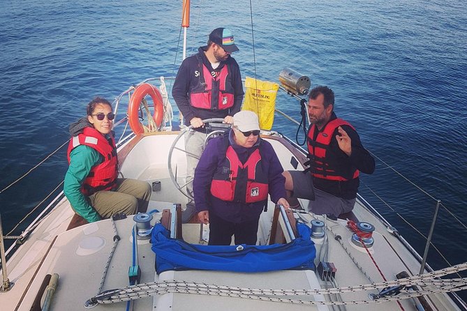 4-Hour Sailing Adventure on the Strait of Juan De Fuca - Sailing Route and Wildlife