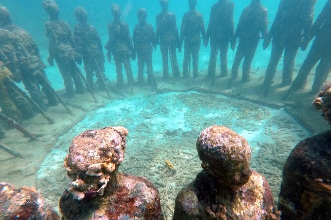 4-Hour Snorkel Cruise to Underwater Sculptures With Boat Dogs - The Sum Up