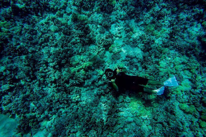 4 Hour Super-Raft Snorkeling Experience in Kailua-Kona - The Sum Up