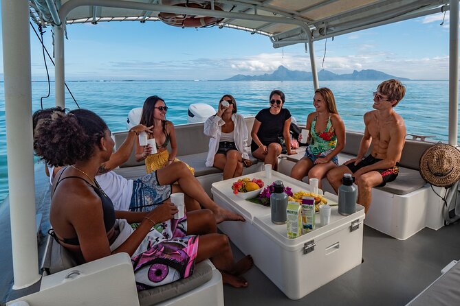 4 Hours of Humpback Whale Watching in Tahiti - Other Marine Life to Look Out For