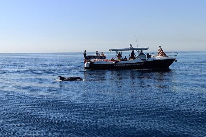 4 or 2 Hour Private Luxury Boat Rental in Fuengirola - The Sum Up