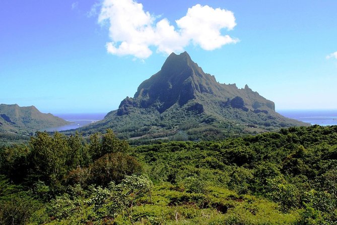 4x4 Moorea Safari Tours : - The Sum Up