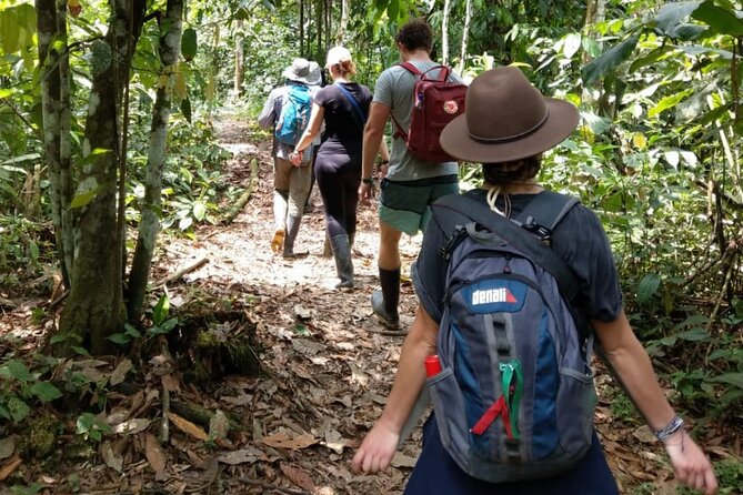 5-Days Private Manu Jungle Tour With Waterfalls and Hot Springs - Day 4 - Waterfalls and Hot Springs