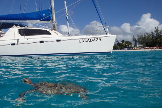 5-Hour Small-Group Catamaran Cruise From Bridgetown With Lunch - All-You-Can-Eat Buffet and Tapas