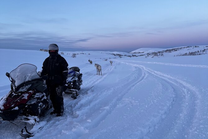 5-Hour Snowmobile Safari on the Arctic Tundra. Have Fun & Explore! - The Sum Up