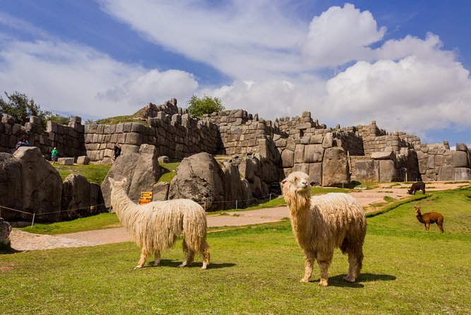 6 Day Best of Peru: Cusco, Machu Picchu and Lake Titicaca Tour - Taquile Island