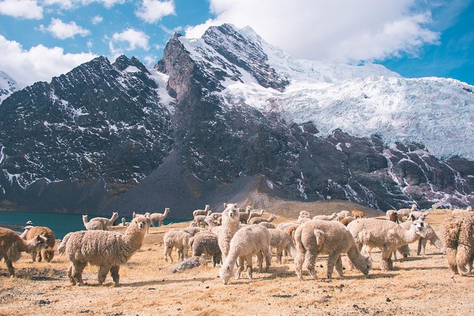 6 Day Rainbow Mountain X Ausangate Trek - Flashpackerconnect - The Sum Up