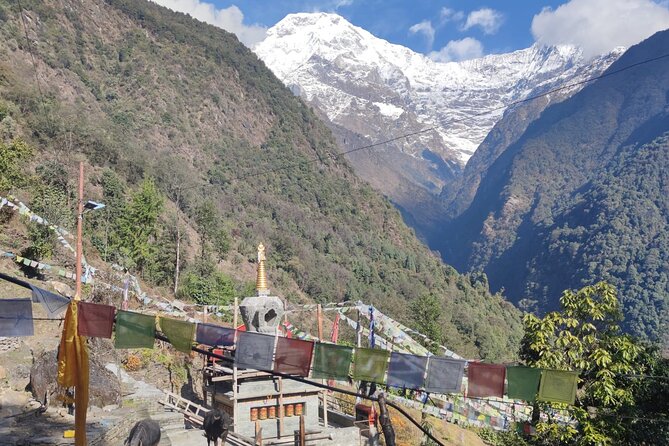6 Days Annapurna Basecamp Trek - Common Questions
