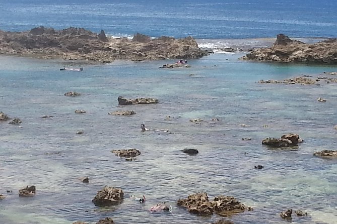 6-Hour Private Customized Luxury Convertible Tour of Oahus North Shore - Knowledgeable and Pleasant Tour Guides