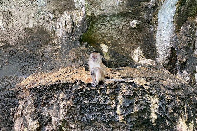 6 Hours Private Tour Around Phi Phi Islands From Phi Phi - Traveler Reviews and Ratings
