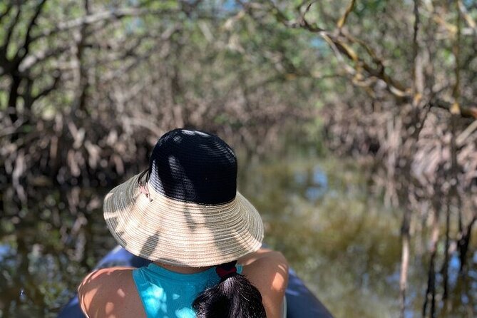 6-Hr Tropical Mangroves, Coastal River and Ocean Wildlife Watch - The Sum Up