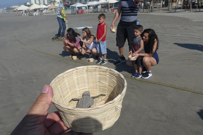 6Hr Cruise or Hotels City Tour, Divers, Baby Turtles Peace Chapel - Directions to Tour Locations