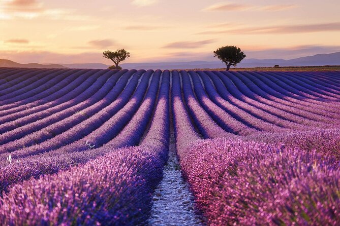 7 Days Best of Provence - Day 4: Strolling Through the Picturesque Villages of Luberon