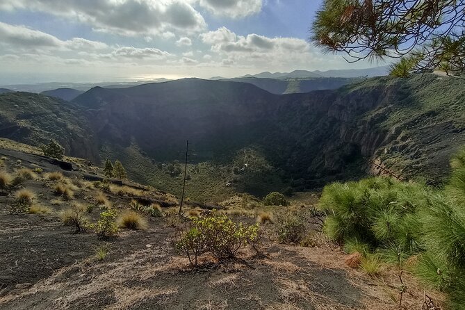 7-Hours Private Tour Volcanoes and Wine Region in the Canary Islands - Common Questions