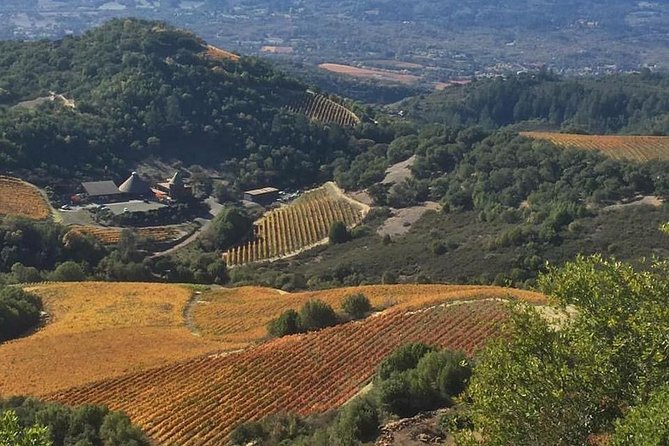 8-Hour Private Wine Tour Experience for up to 6 Guests - San Francisco to Sonoma - Traveler Photos and Reviews