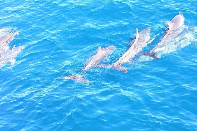 8-Hour Sailing Charter From Fort Lauderdale - Customizable Sailing Experience