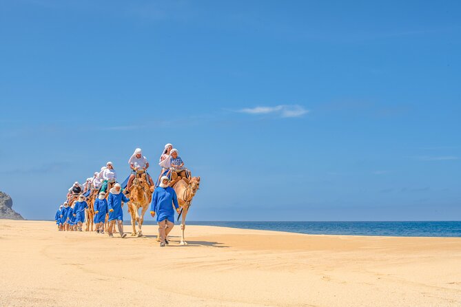 A Half-Day, Camelback Safari and ATV Ride Combo Tour  - Cabo San Lucas - The Sum Up
